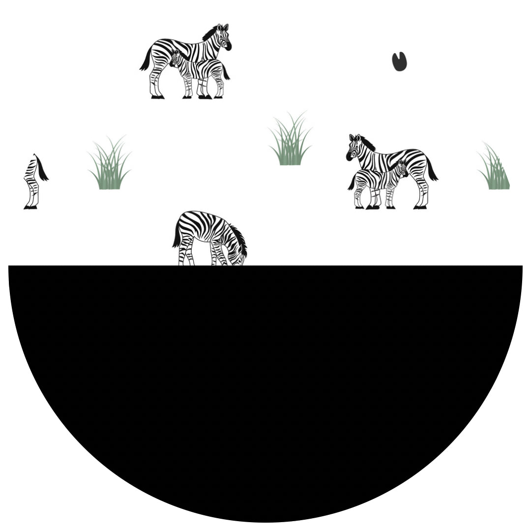Zebra || Nightfall