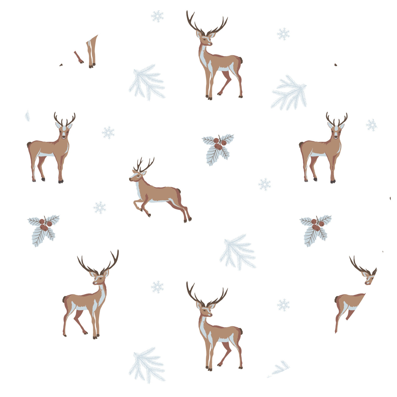 Reindeer