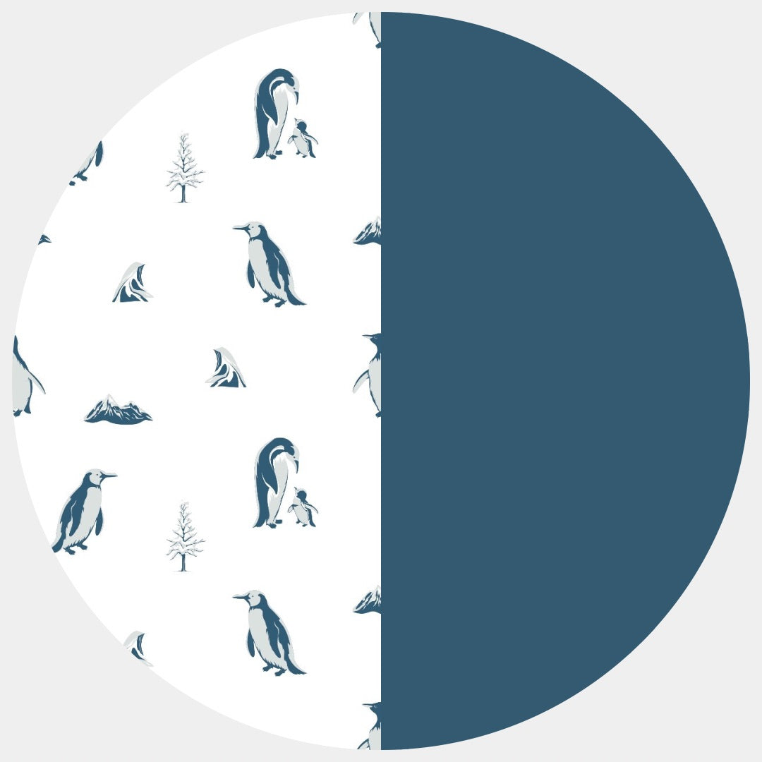 Penguins | Astro