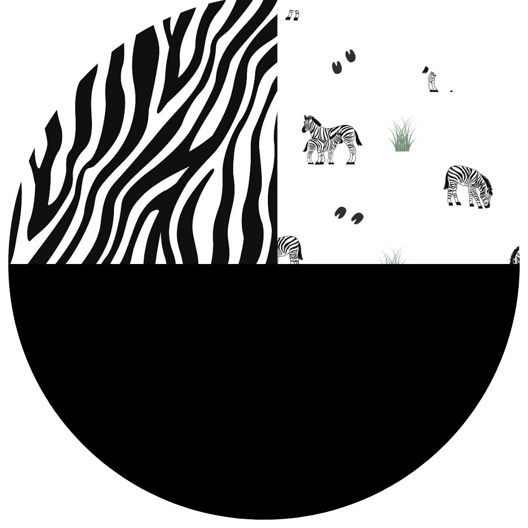 Zebra || Nightfall || Stripes