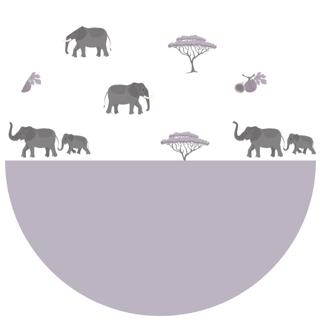 Elephant || Mauve