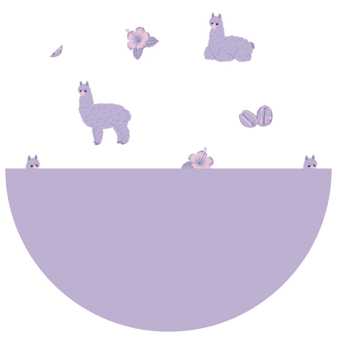 Llama || Lavender