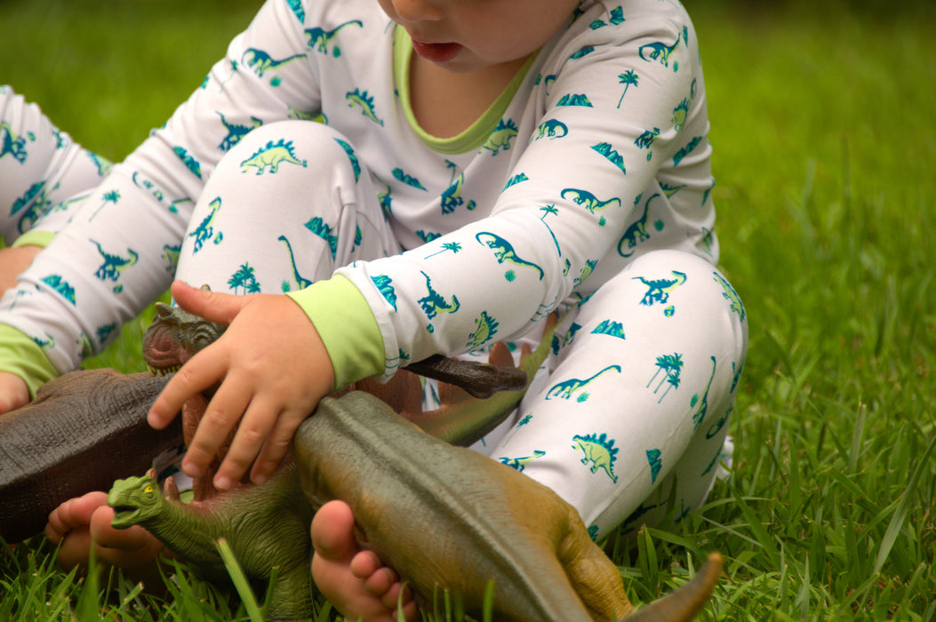 Dinosaurs | Long Sleeve Pajamas