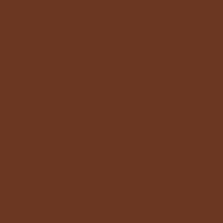 Pecan | Adult Bodysuit