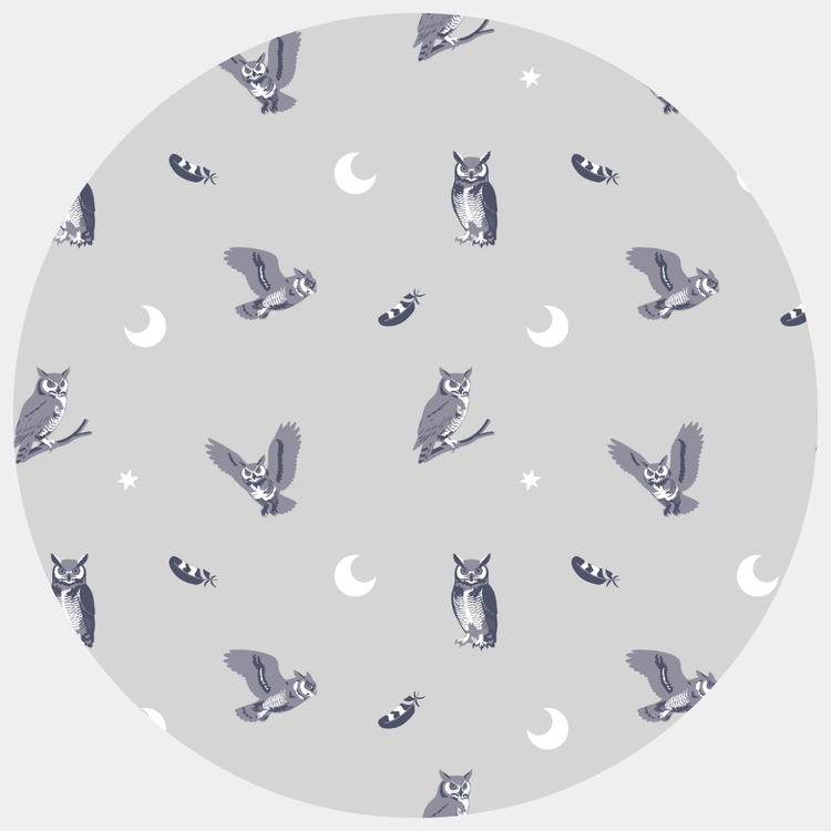 Hoot | Toddler Pillowcase