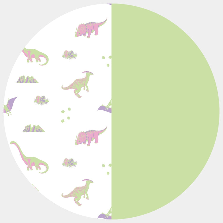 PRE-ORDER: Pastel Dinosaurs  | Bloom Quilted Youth Blanket 3.0