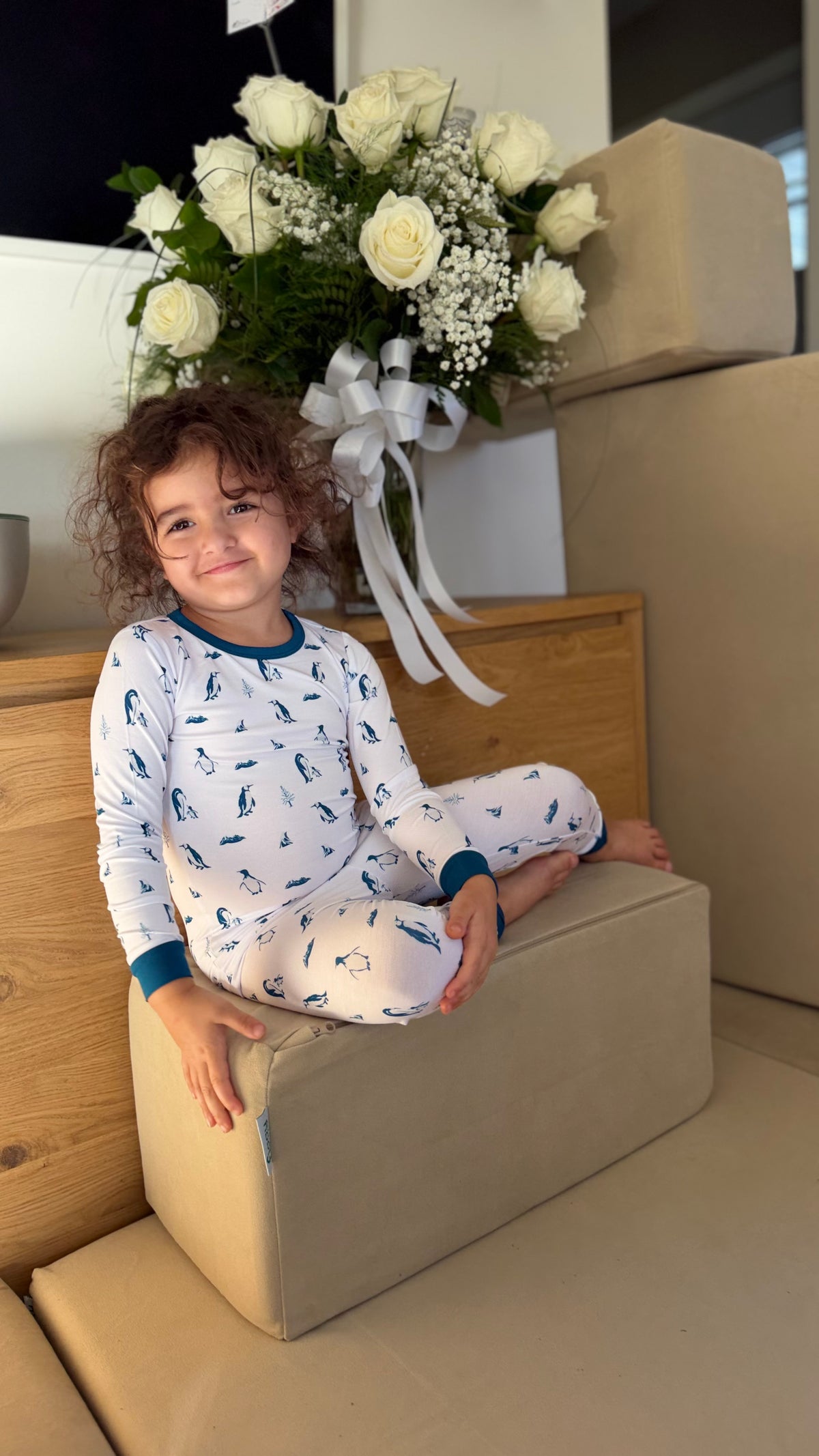 PRE-SALE: Penguins | Long Sleeve Pajamas (ETA Late November)