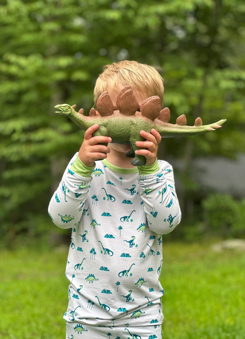 Dinosaurs | Long Sleeve Pajamas