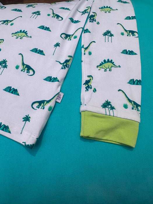 Dinosaurs | Long Sleeve Pajamas
