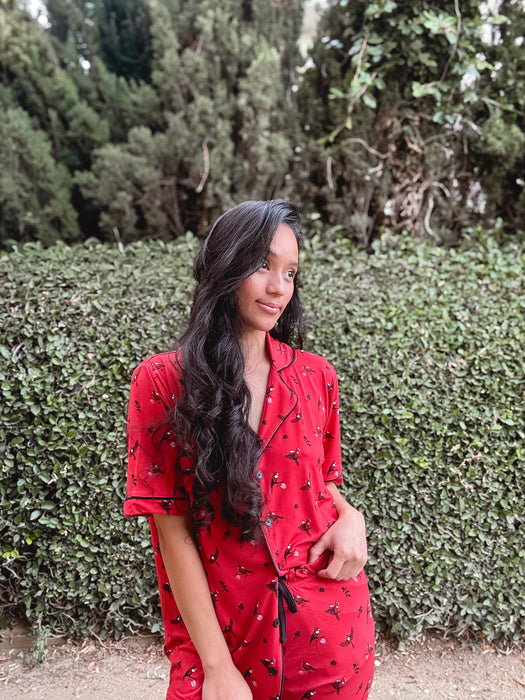 Cardinal | Adult Pajama Short Set