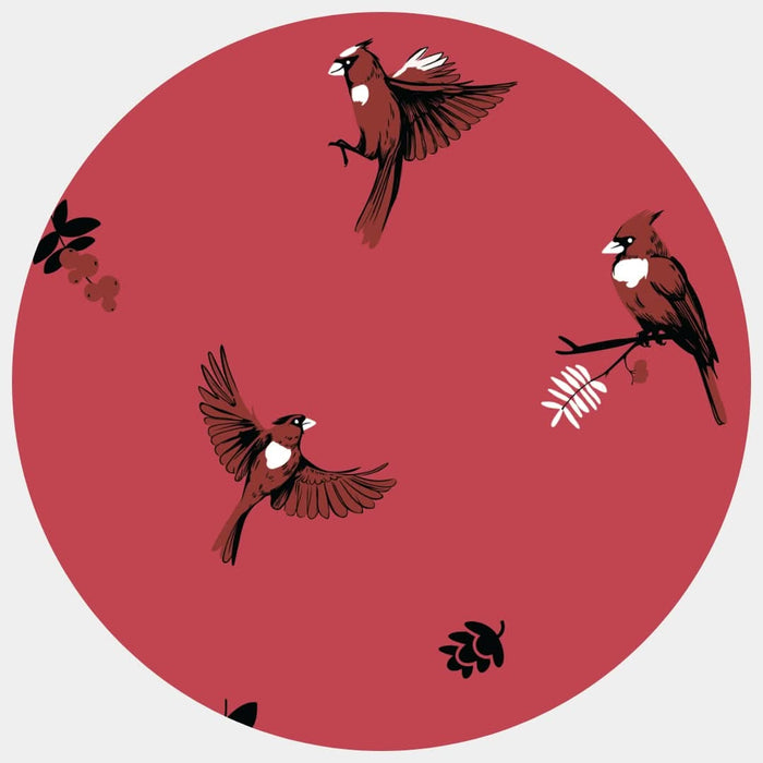 Cardinal | Adult Pajama Short Set