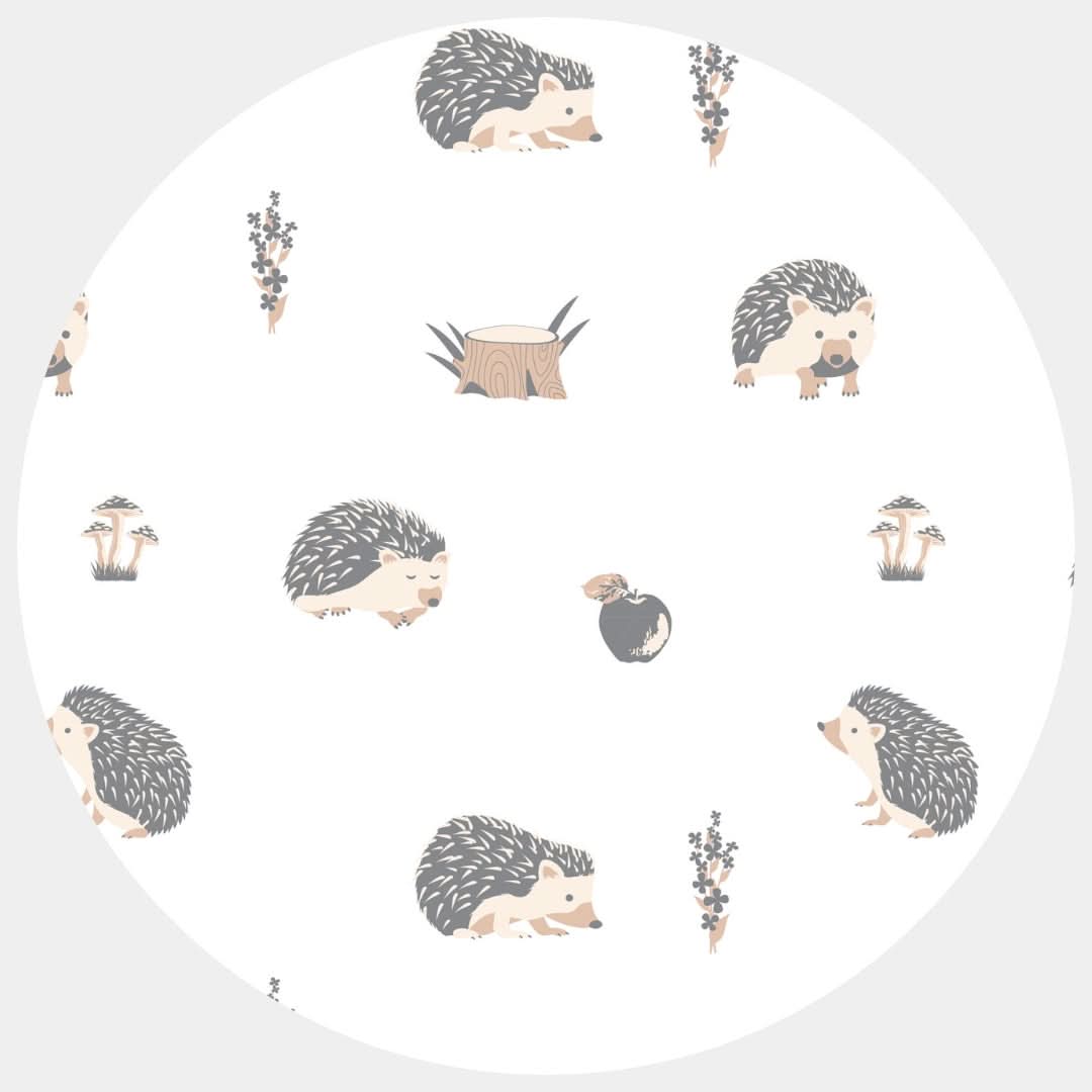 eco-friendly hedgehog for children