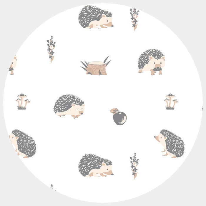 eco-friendly hedgehog for children