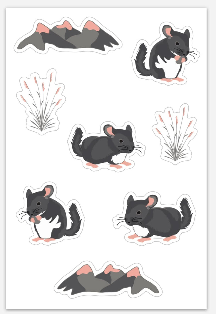Chinchilla | Sticker Sheet